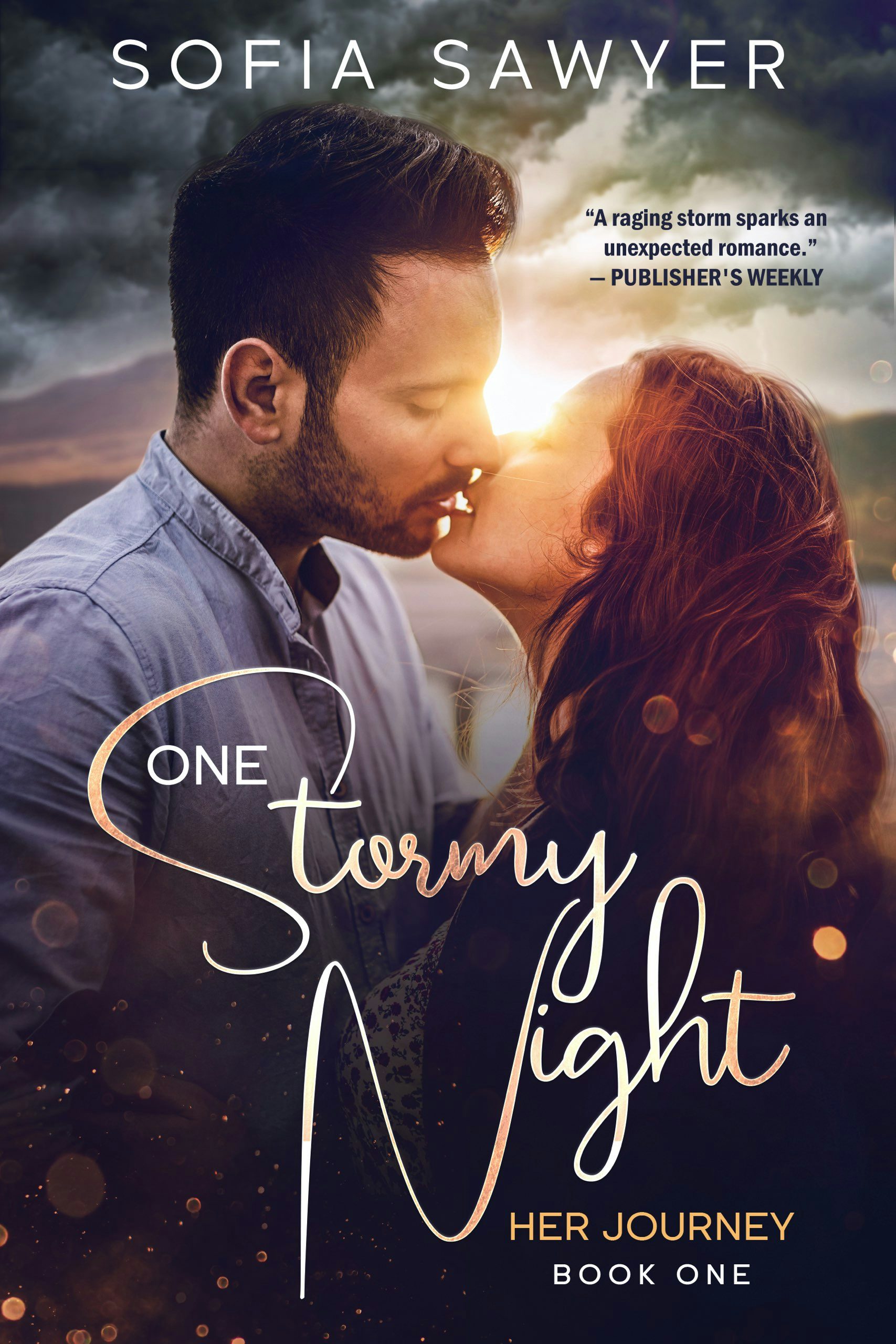 Book cover image for One Stormy Night ISBN: 9781648980817